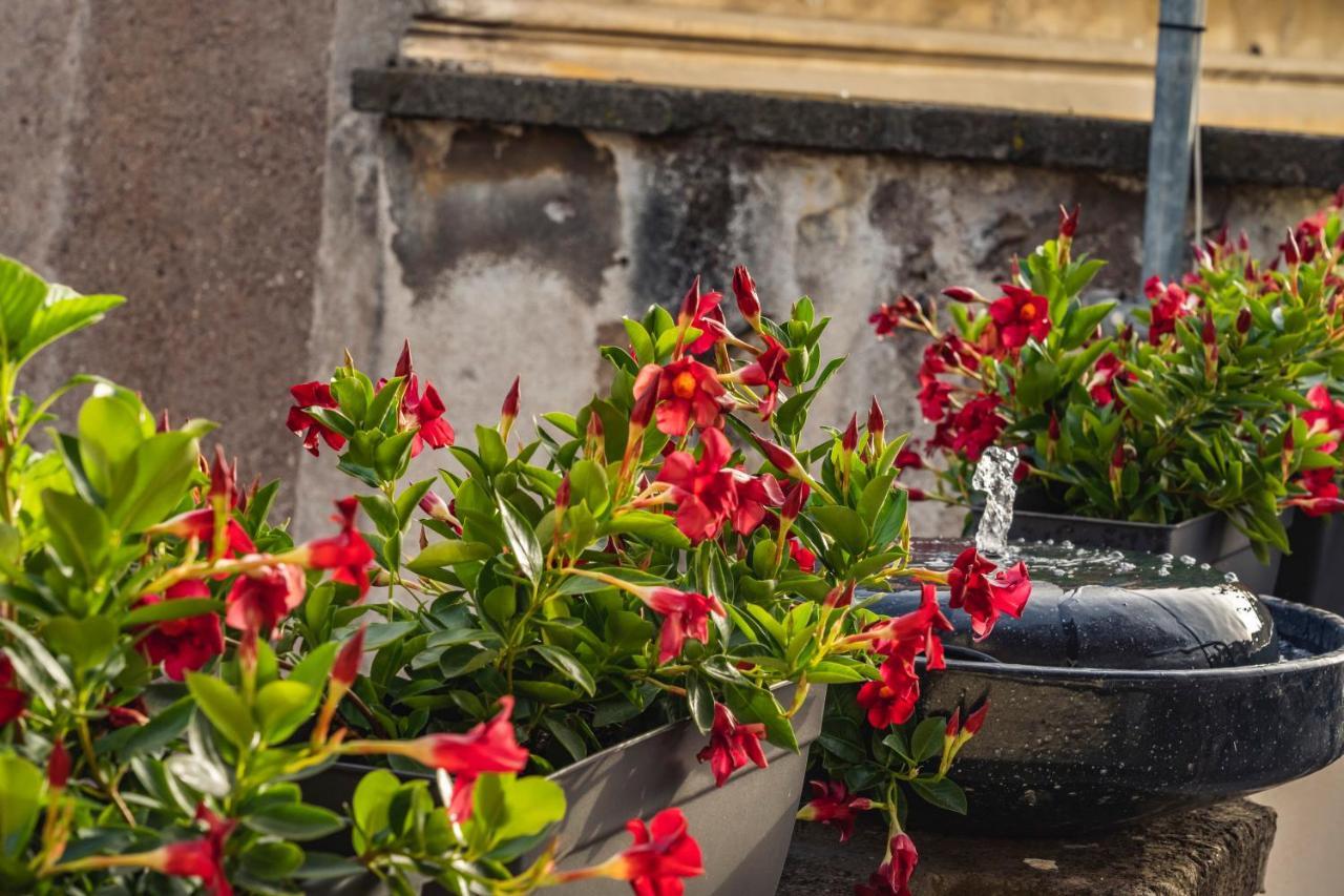 Ag Spanish Steps Terrace โรม ภายนอก รูปภาพ